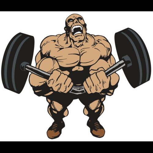 AR WEIGHTS 54 RC Thumbnail