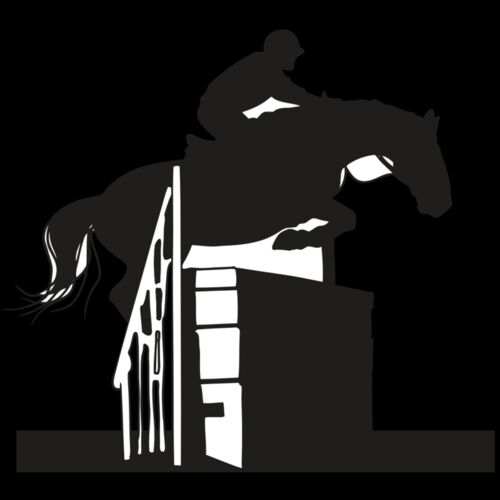 AR EQUEST 20 RC Thumbnail