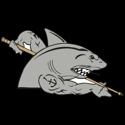 AR POOL 27 RC Thumbnail