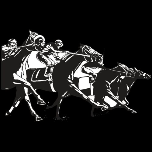 AR EQUEST 13 RC Thumbnail