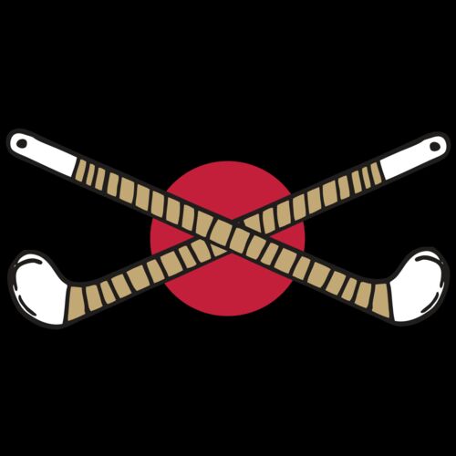 AR FHOCKEY 10 RC Thumbnail