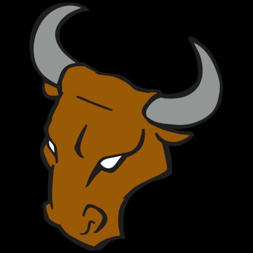 AR BULL 28 RC Thumbnail