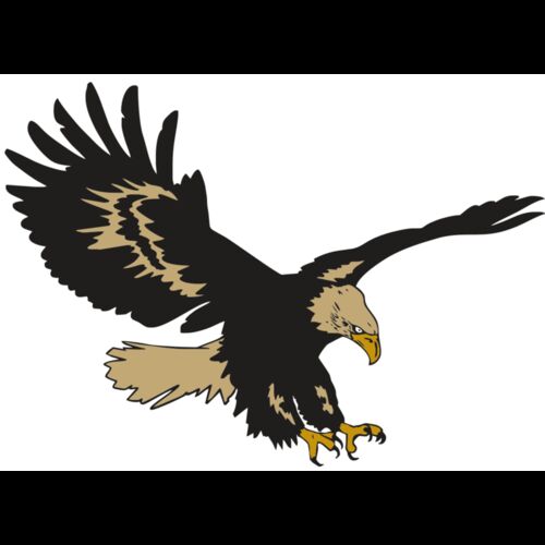 AR EAGLE 47 RC Thumbnail