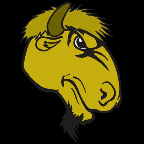 AR BUFFALO 14 RC Thumbnail