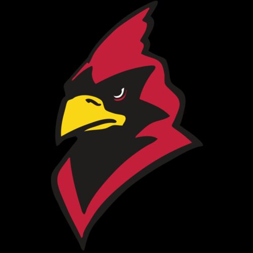 AR CARDINAL 22 RC Thumbnail