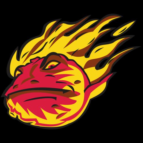 COMET HD0501 RQC Thumbnail