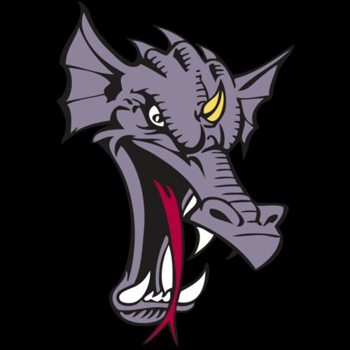 BAW DRAGON 05 RC Thumbnail