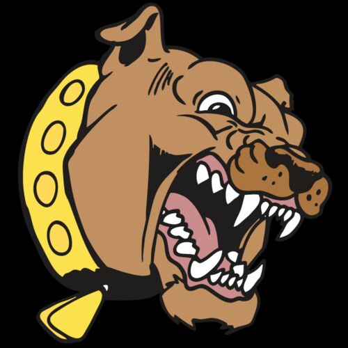 AR BDOG 49 RC Thumbnail