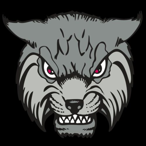 BAW BOBCAT 02 RC Thumbnail