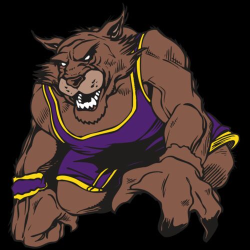 AR WILDCAT 23 RC Thumbnail