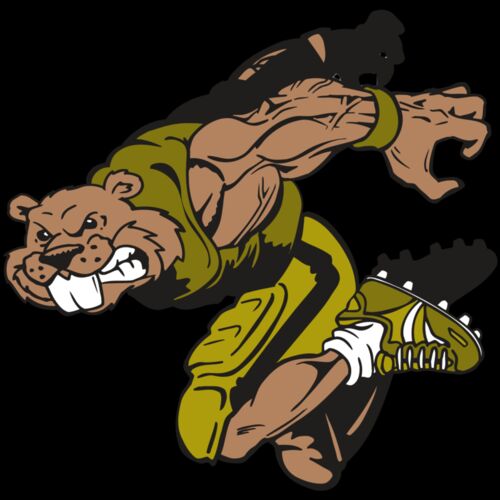 AR14 BEAVER FBLL 02 RQC Thumbnail