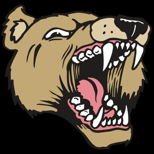 AR5 Bear 09 RQC Thumbnail