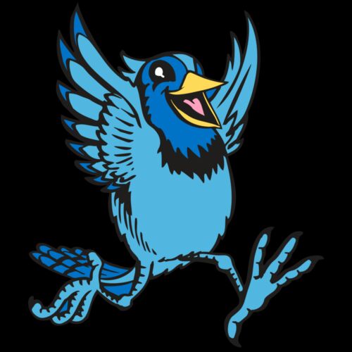 BAW BLUEJAY 09 RC Thumbnail