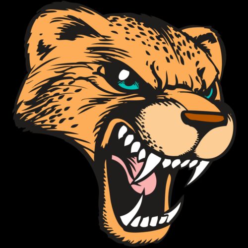 BAW CHEETAH 19 RC Thumbnail