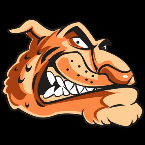 CHEETAH HD0503 RQC Thumbnail