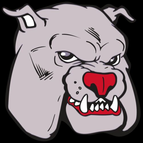 AR BDOG 11 RC Thumbnail