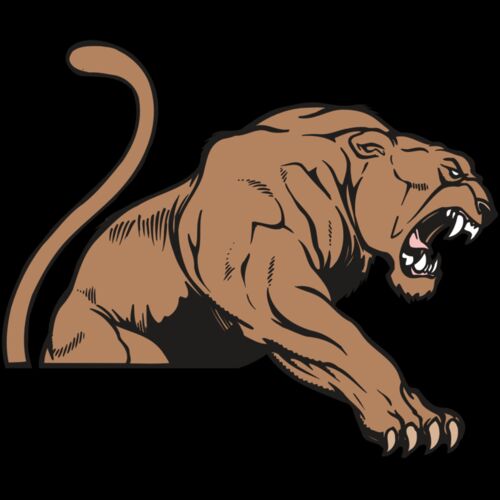 AR COUGAR 55 RC Thumbnail