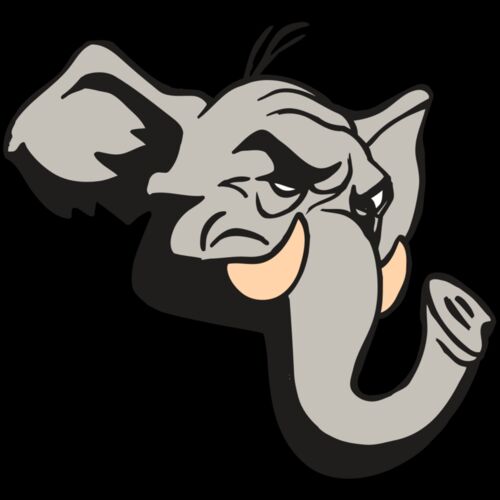 AR5 Elephant 04 RQC Thumbnail