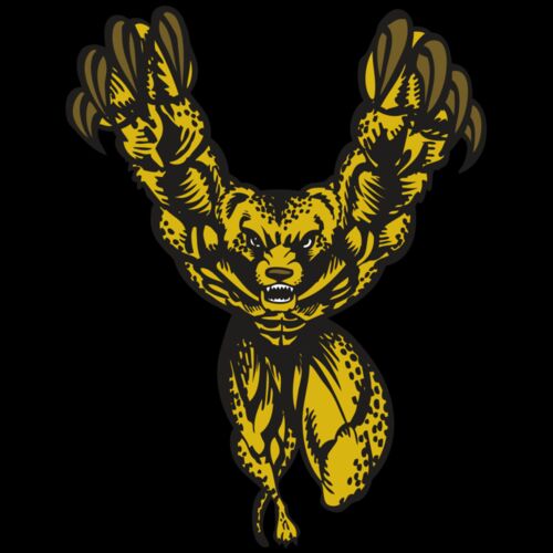 BAW CHEETAH 09 RC Thumbnail