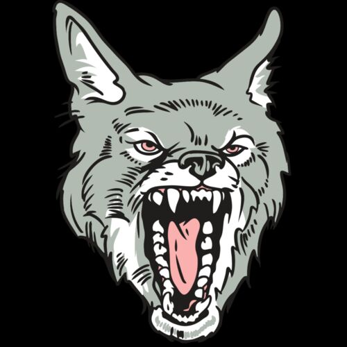 AR32 COYOTE 11 RQC Thumbnail