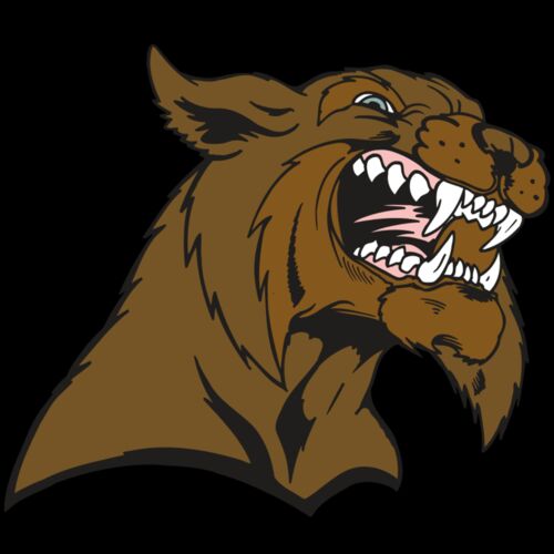 AR5 BOBCAT 21 RQC Thumbnail