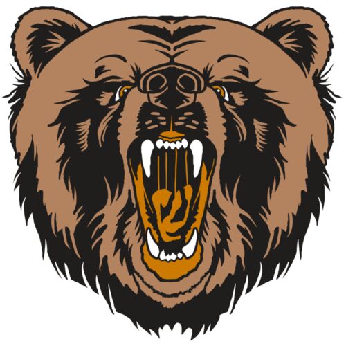 AR31 BEAR 01 RQC Thumbnail