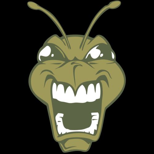 BAW BEE 13 RC Thumbnail