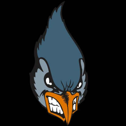 BAW BLUEJAY 01 RC Thumbnail