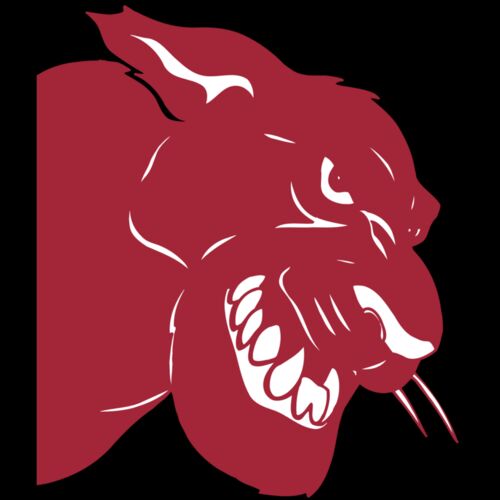 AR5 COUGAR 37 RQC Thumbnail