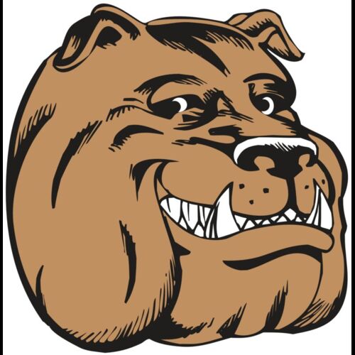 BAW BULLDOG 04 RC Thumbnail