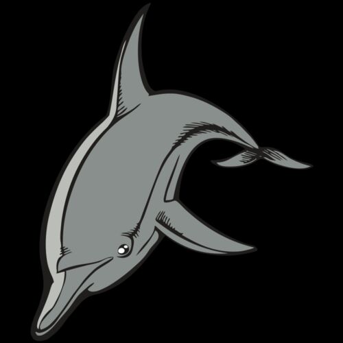 BAW DOLPHIN 03 RC Thumbnail