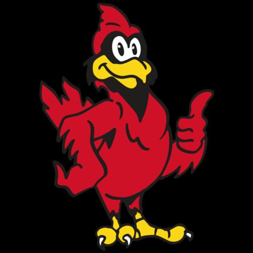 AR CARDINAL 26 RC Thumbnail