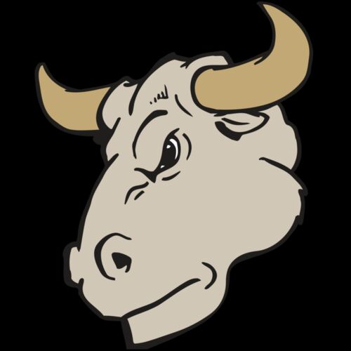 AR BULL 25 RC Thumbnail