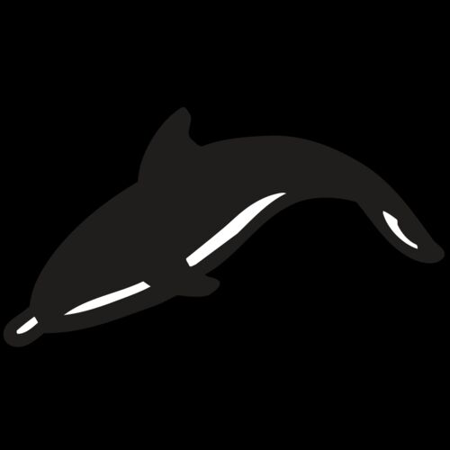 AR DOLPIN 16 RC Thumbnail