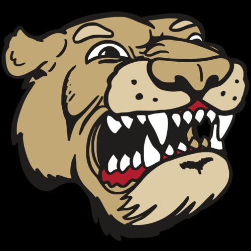 AR5 COUGAR 04 RQC Thumbnail