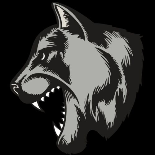 BAW COUG PANTH 06 RC Thumbnail