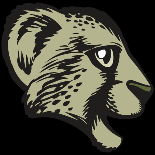 BAW CHEETAH 17 RC Thumbnail