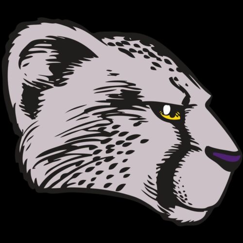 BAW CHEETAH 20 RC Thumbnail