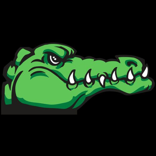 AR GATOR 15 RQC Thumbnail