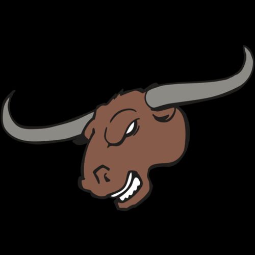 AR BULL 10 RC Thumbnail