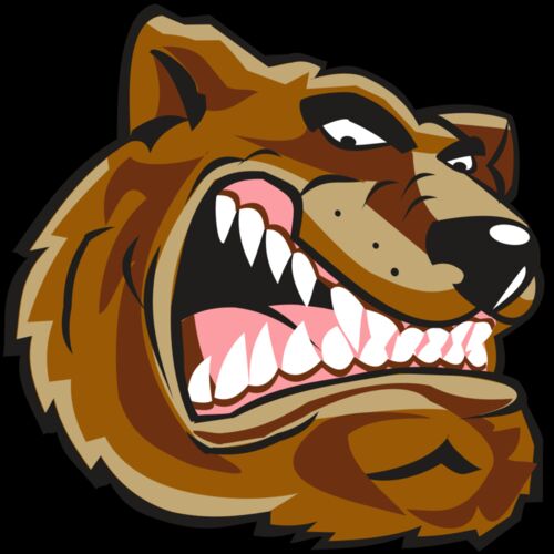 BEAR HD0502 RQC Thumbnail