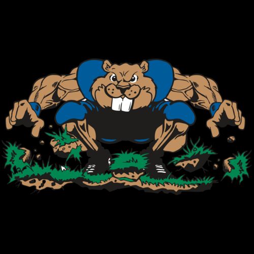 AR14 BEAVER FBLL 04 RQC Thumbnail