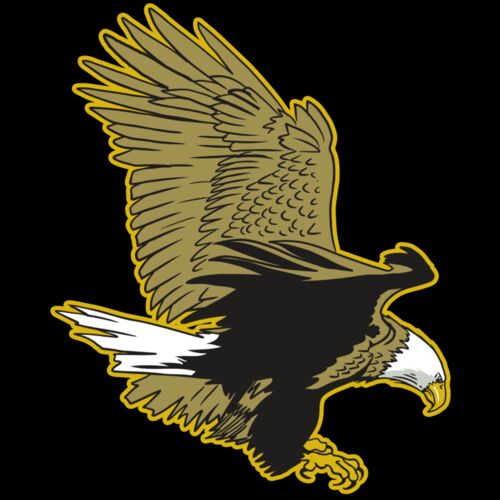 AR10 EAGLE 01 RQC Thumbnail