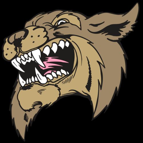 AR5 BOBCAT 09 RQC Thumbnail