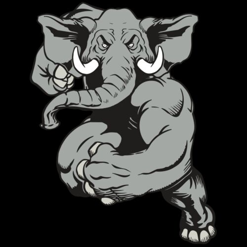 AR ELEPH 18 RC Thumbnail