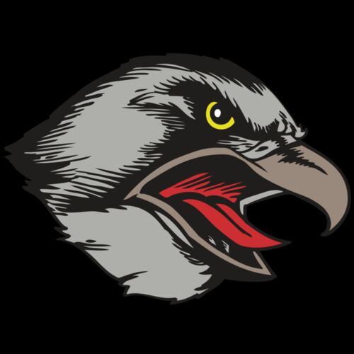 BAW HWK FLCN 13 RC Thumbnail