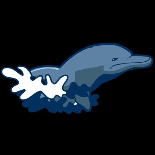 AR DOLPIN 10 RC Thumbnail