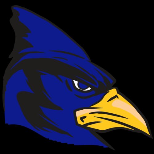 AR13 BLUEJAY 02 RQC Thumbnail