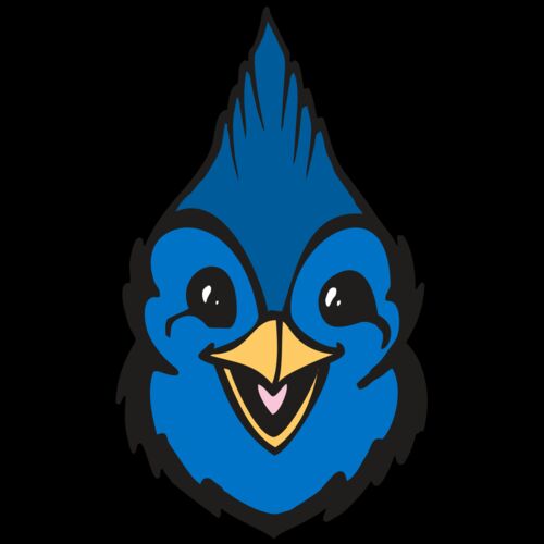 BAW BLUEJAY 19 RC Thumbnail