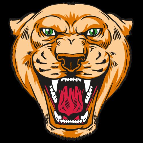 AR13 COUGAR 01 RQC Thumbnail